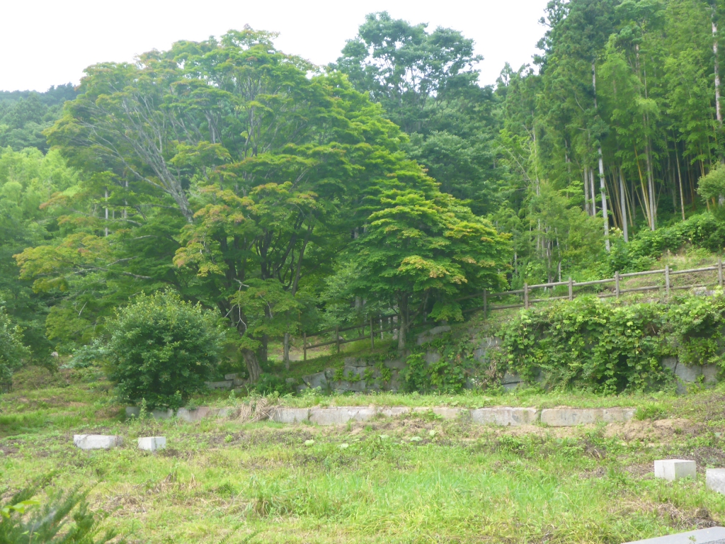 葛尾大尽屋敷跡公園